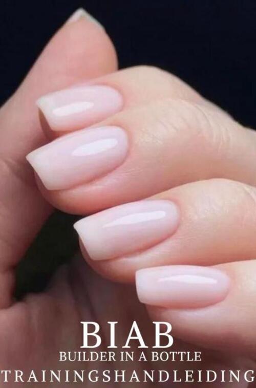 Biab -  Alida Lorsé (ISBN: 9789403746265)