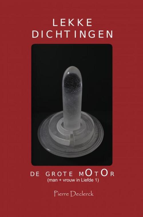 Lekke Dichtingen -  Pierre Declerck (ISBN: 9789403754581)