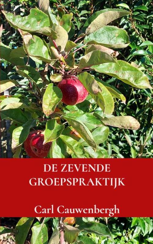 Carl Cauwenbergh De zevende groepspraktijk -   (ISBN: 9789403837130)