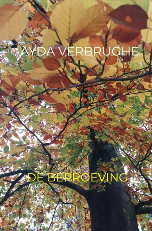 De Beproeving -  Ayda Verbrughe (ISBN: 9789403856179)