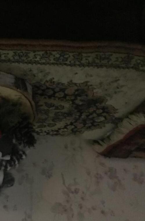 Het Meisje Dat Kerst Vierd -  Ans Linders (ISBN: 9789403856285)