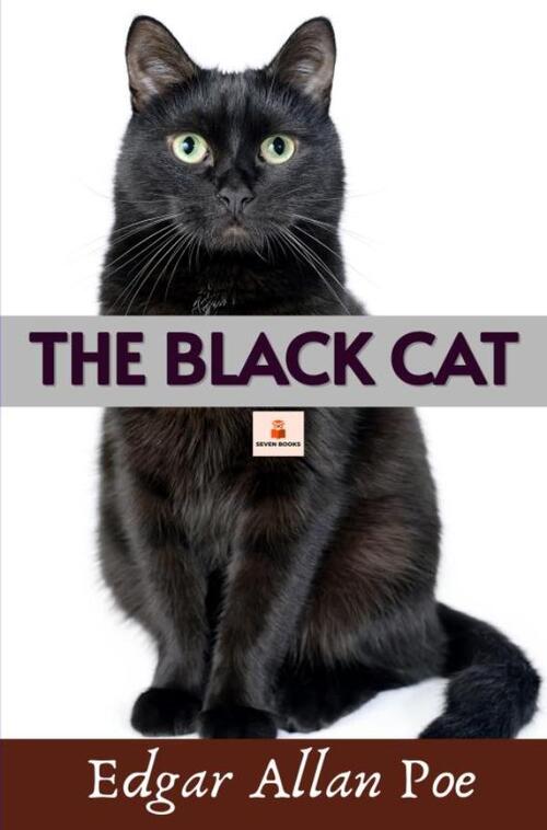 The Black Cat -  Edgar Allan Poe (ISBN: 9789403856490)