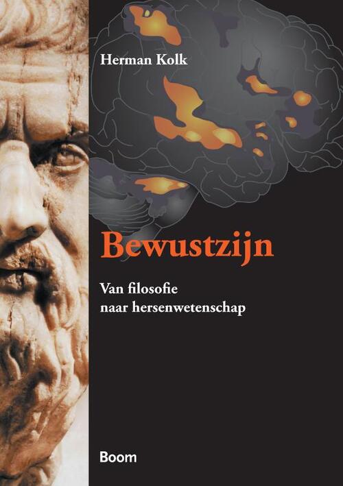 Bewustzijn -  Herman Kolk (ISBN: 9789461272706)