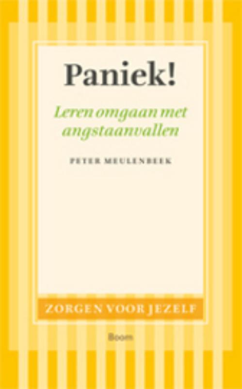 Paniek! -  Bas van Heycop ten Ham, Peter Meulenbeek (ISBN: 9789461274205)