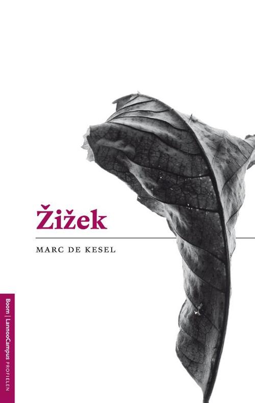 Zizek -  Marc de Kesel (ISBN: 9789461274243)