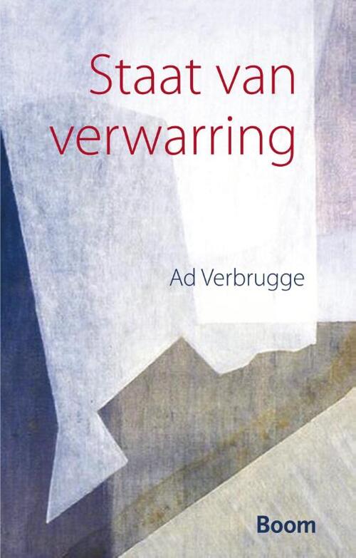 Staat van verwarring -  Ad Verbrugge (ISBN: 9789461274311)
