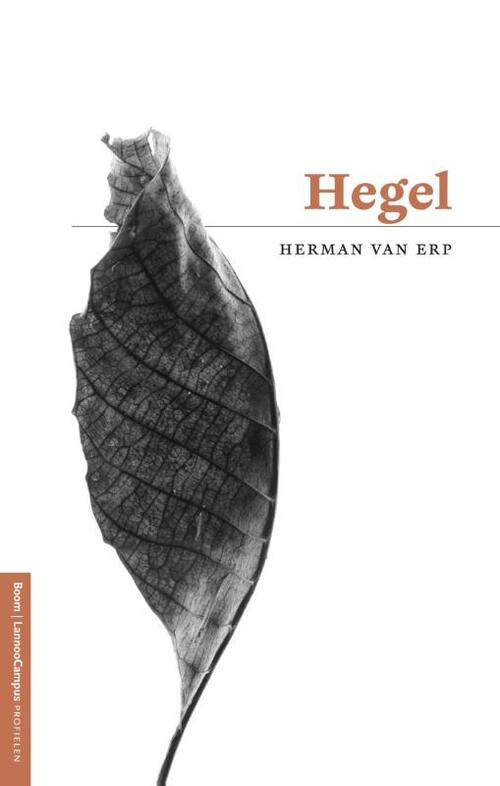 Hegel -  Herman van Erp (ISBN: 9789461274434)