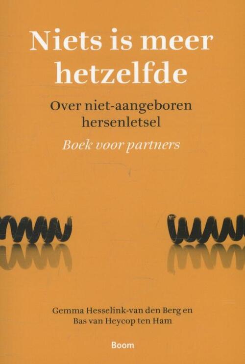 Niets is meer hetzelfde -  Bas van Heycop ten Ham (ISBN: 9789461274755)