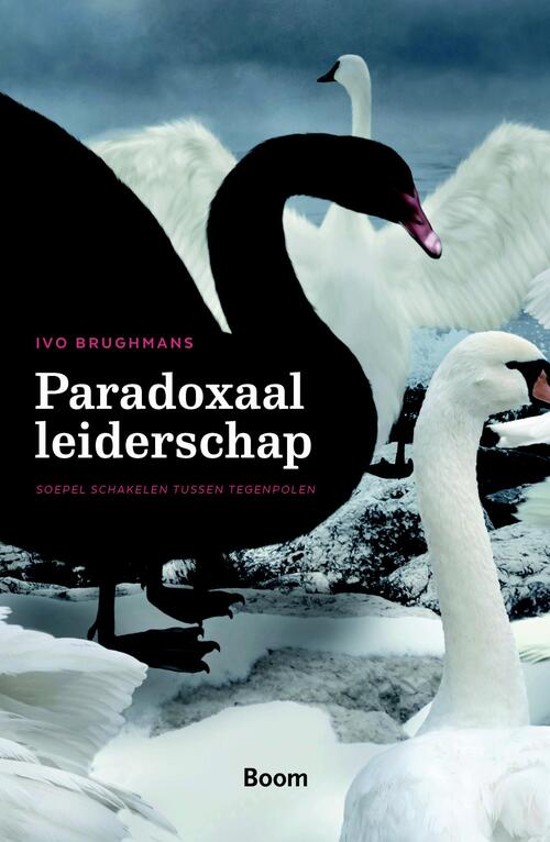 Paradoxaal leiderschap -  Ivo Brughmans (ISBN: 9789461279958)
