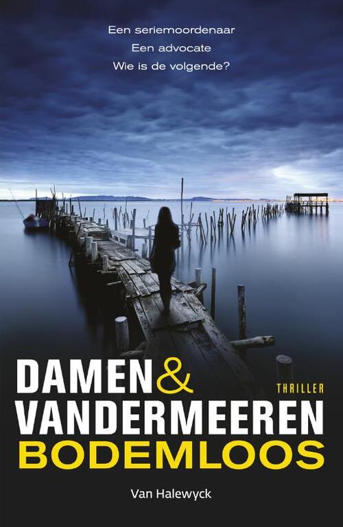 Bodemloos -  Damen & Vandermeeren (ISBN: 9789461319395)