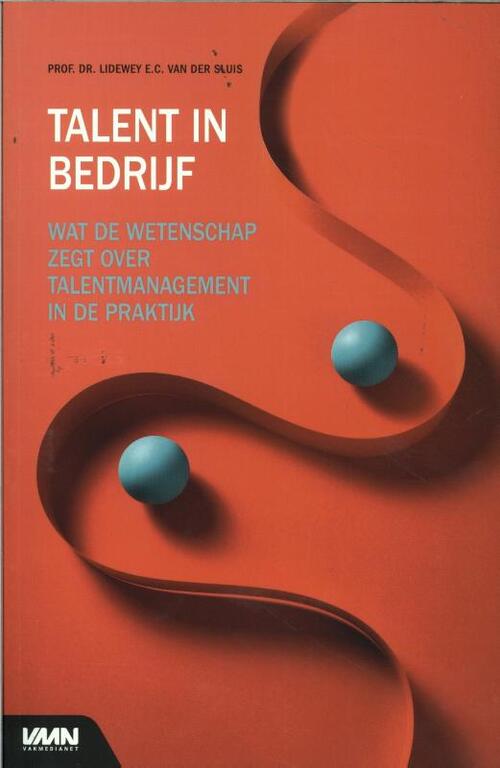 Talent in bedrijf -  Lidewey van der Sluis (ISBN: 9789462157316)
