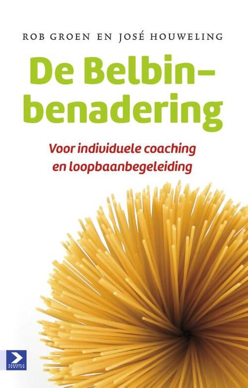 De Belbin-benadering -  José Houweling, Rob Groen (ISBN: 9789462201545)