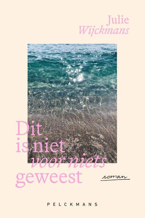 Julie Wijckmans Dit is niet voor niets geweest -   (ISBN: 9789462349353)