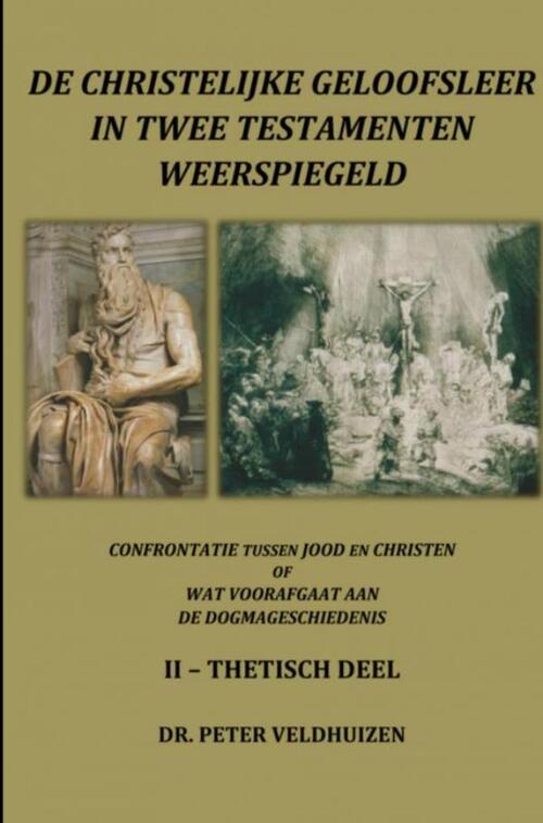 De Christelijke Geloofsleer In Twee Testamenten Weerspiegeld -  Peter Veldhuizen (ISBN: 9789462540316)