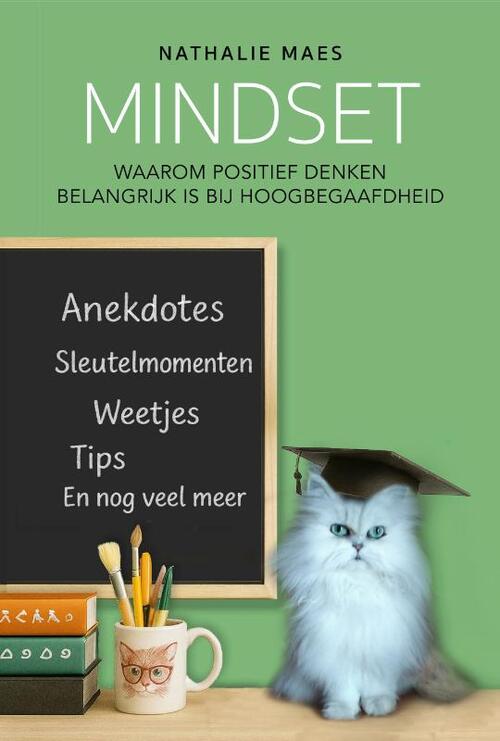Mindset -  Nathalie Maes (ISBN: 9789462667747)