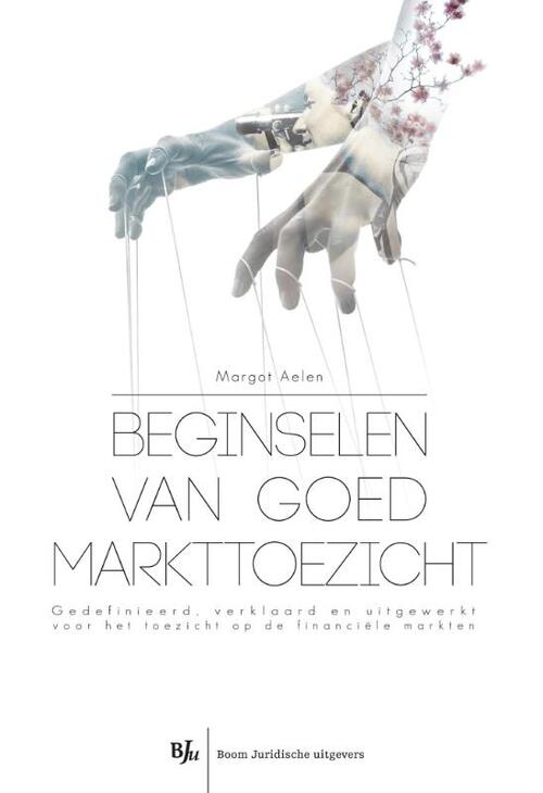 Beginselen van goed markttoezicht -  Margot Aelen (ISBN: 9789462741638)