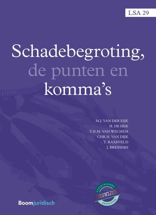 Schadebegroting, de punten en komma's -  Bert de Hek (ISBN: 9789462748972)