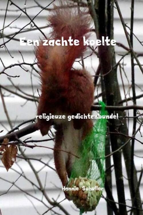 Een zachte koelte -  Hannie Schuller (ISBN: 9789463189811)