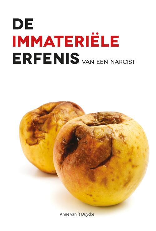 De immateriële erfenis van een narcist -  Anne van 't Duycke (ISBN: 9789463283373)