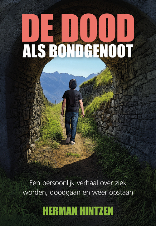 De dood als bondgenoot -  Herman Hintzen (ISBN: 9789463658133)