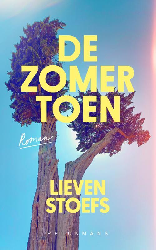 De zomer toen -  Lieven Stoefs (ISBN: 9789463833783)