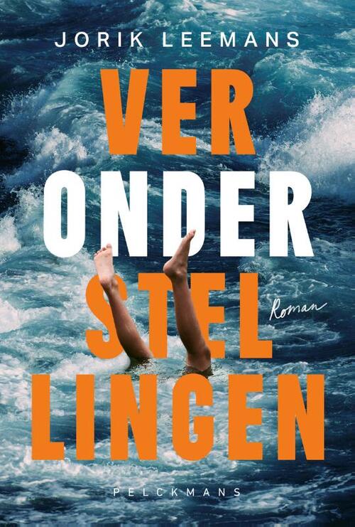 Veronderstellingen -  Jorik Leemans (ISBN: 9789463836487)