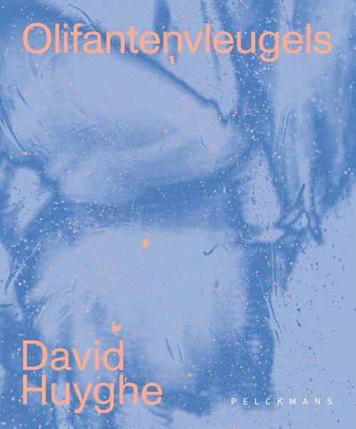 David Huyghe Olifantenvleugels -   (ISBN: 9789463838931)