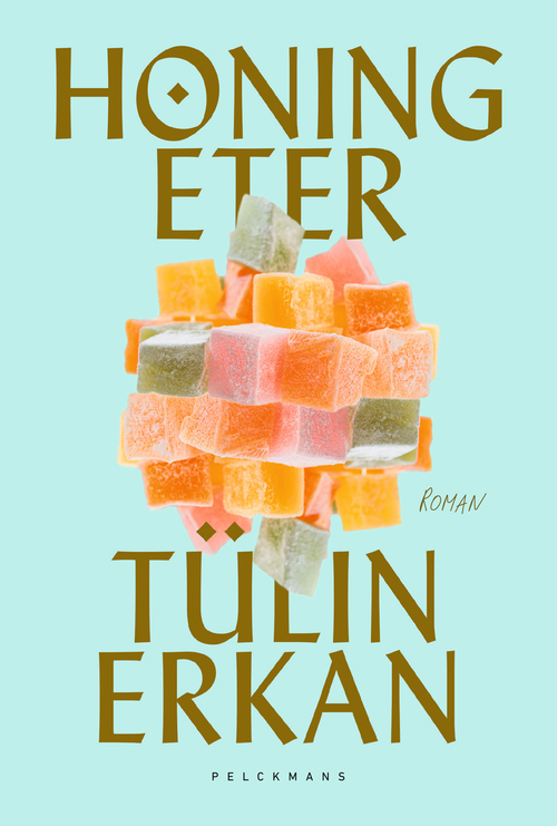 Honingeter -  Erkan Tülin (ISBN: 9789464015324)