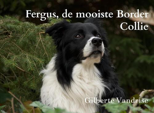 Fergus, de mooiste Border Collie