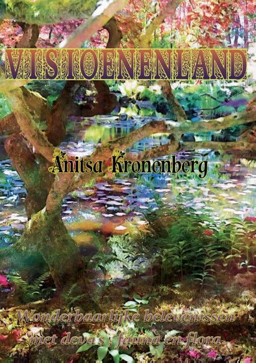 Visioenenland -  Anitsa Kronenberg (ISBN: 9789464433234)