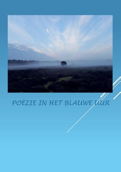 Poëzie in het blauwe uur -  Anna van Mansom (ISBN: 9789464437072)
