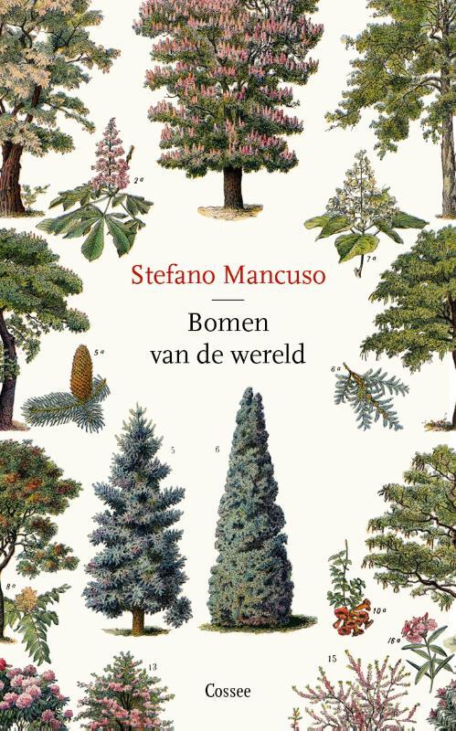 Bomen van de wereld -  Stefano Mancuso (ISBN: 9789464520033)