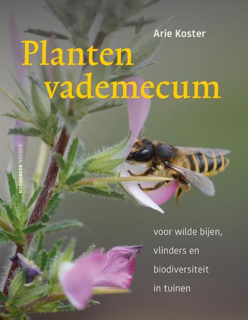 Plantenvademecum -  Arie Koster (ISBN: 9789464712582)