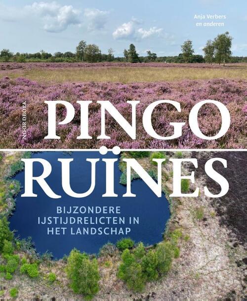 Pingoruïnes -  Anja Verbers (ISBN: 9789464714029)