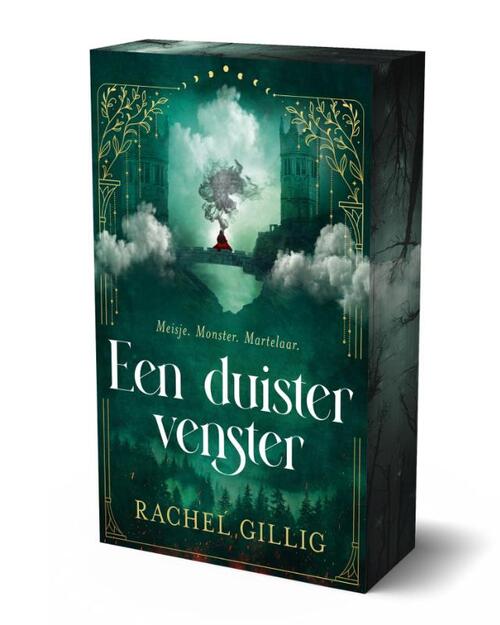 Een duister venster - limited edition -  Rachel Gillig (ISBN: 9789464823752)