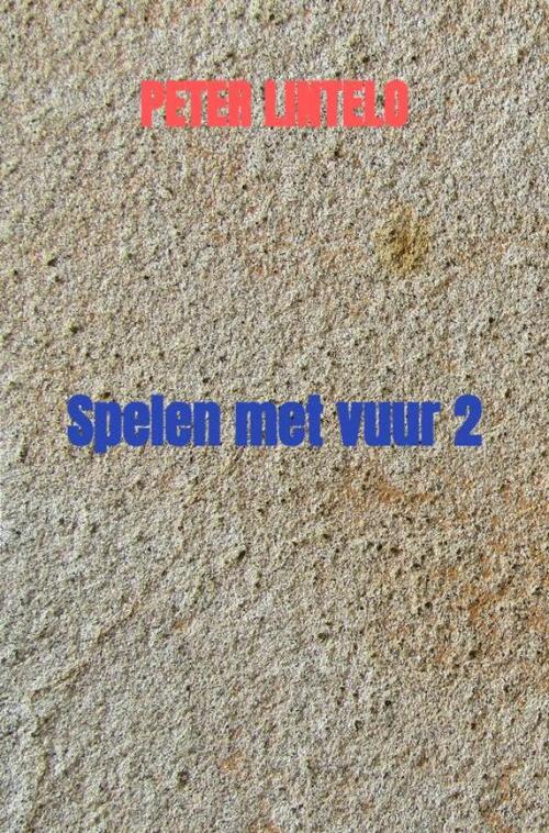 Spelen met vuur -  Peter Lintelo (ISBN: 9789464928518)