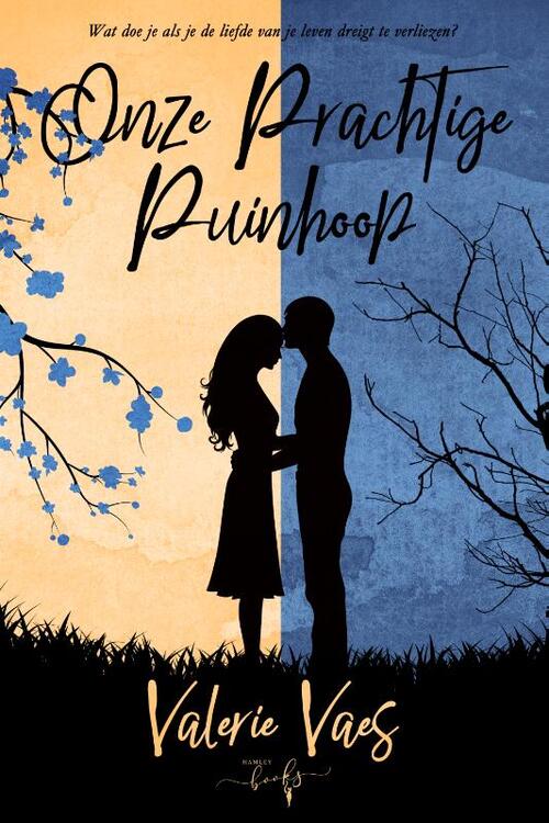 Onze prachtige puinhoop -  Valerie Vaes (ISBN: 9789464945416)