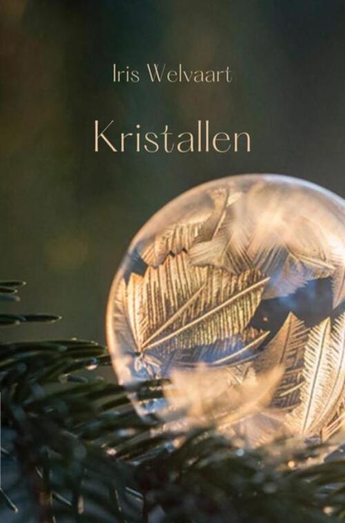 Iris Welvaart Kristallen -   (ISBN: 9789465016856)