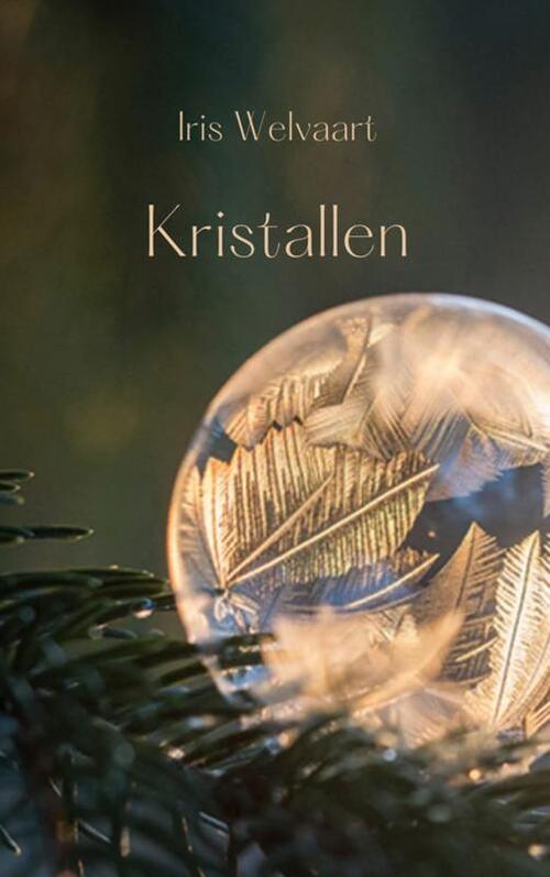 Kristallen -  Iris Welvaart (ISBN: 9789465125633)