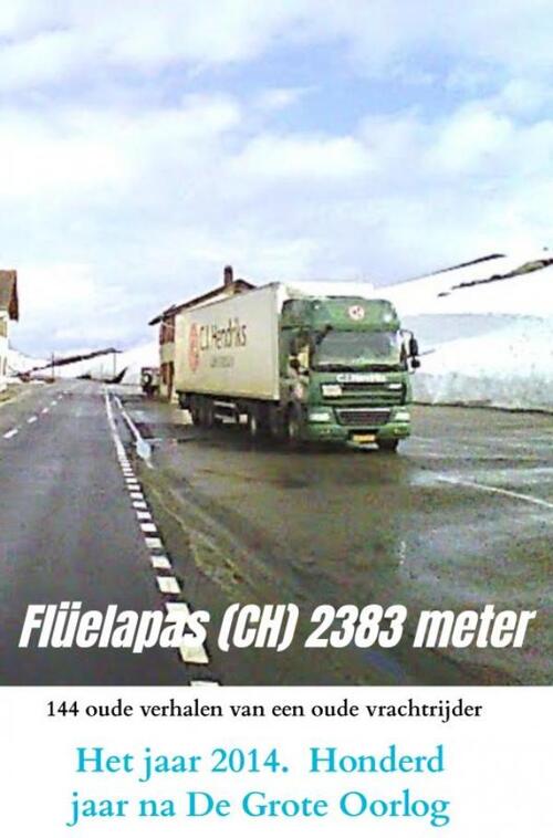 Het jaar 2014. Honderd jaar na De Grote Oorlog -  Willem Grünbauer (ISBN: 9789465203560)