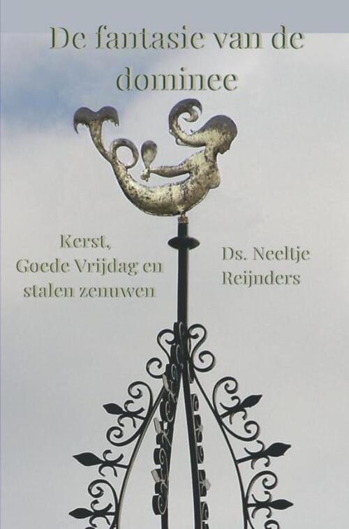De fantasie van de dominee -  Neeltje Reijnders (ISBN: 9789465204659)