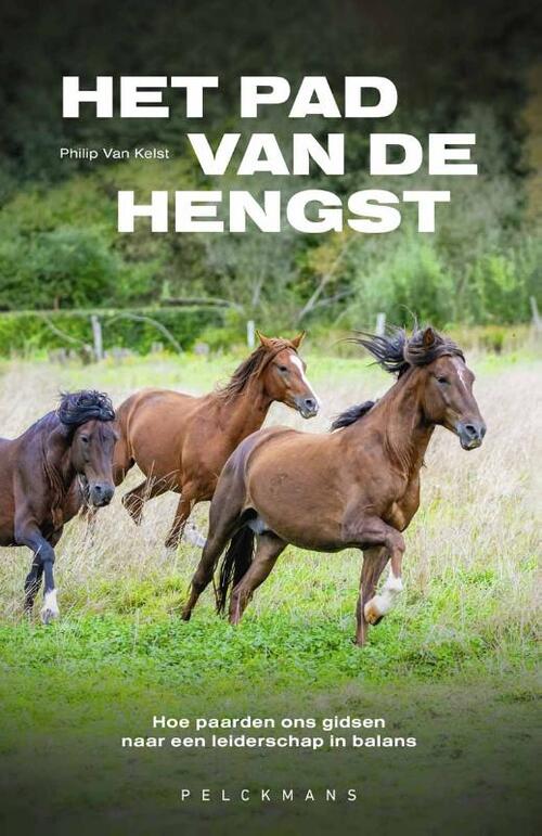 Philip van Kelst Het pad van de hengst -   (ISBN: 9789465300764)