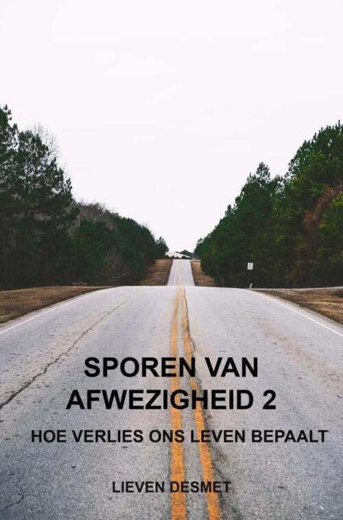 Sporen van afwezigheid 2 -  Lieven Desmet (ISBN: 9789465312736)
