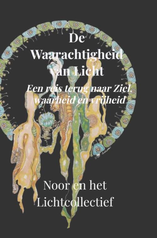 De Waarachtigheid van Licht -  Noor N. (ISBN: 9789465316352)