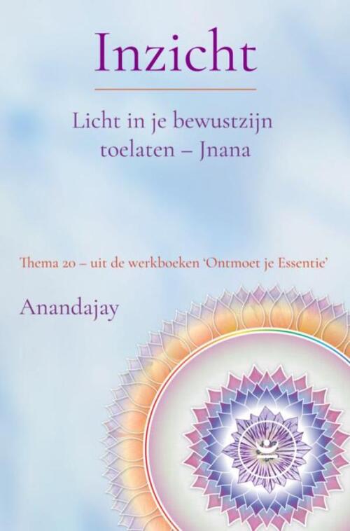 Anandajay Inzicht: Licht in je bewustzijn toelaten - Jnana -   (ISBN: 9789465317946)