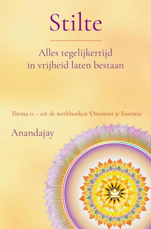 Anandajay Stilte: Alles tegelijkertijd in vrijheid laten bestaan -   (ISBN: 9789465318035)
