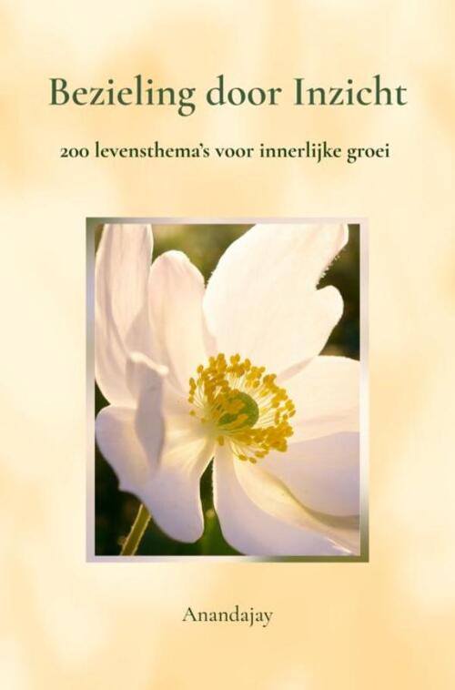 Anandajay Bezieling door Inzicht -   (ISBN: 9789465318202)