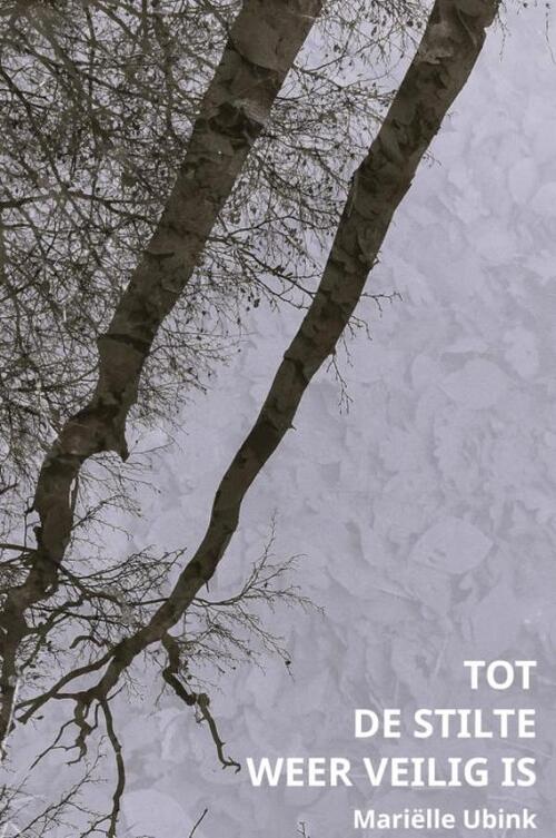 Tot de stilte weer veilig is -  Marielle Ubink (ISBN: 9789465318998)