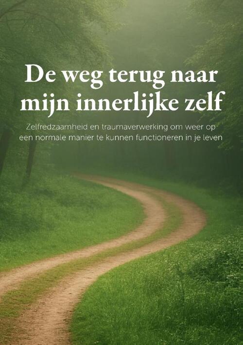 De weg terug naar mijn innerlijke zelf -  Bastiaan Berntzen (ISBN: 9789465331577)