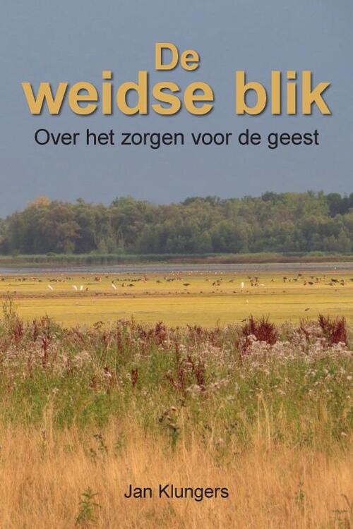 De weidse blik -  Jan Klungers (ISBN: 9789465333304)